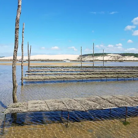 Standing Centre Arcachon, Grand Hotel, 6 Pers, Plages Et Commerces A Proximite - Fr-1-474-5 Lägenhet *