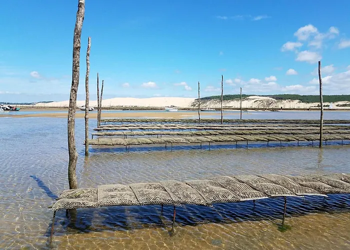 Standing Centre Arcachon, Grand Hotel, 6 Pers, Plages Et Commerces A Proximite - Fr-1-474-5 Lägenhet *